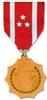 VIEW Philippine Defense Medal