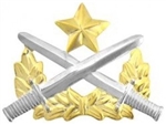 VIEW Vietnamese Range Badge Lapel Pin