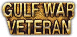 VIEW GULF WAR VETERAN Lapel Pin