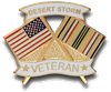 VIEW Desert Storm Veteran Lapel Pin