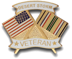 VIEW Desert Storm Veteran Lapel Pin