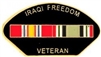 VIEW Iraqi Freedom Vet Lapel Pin