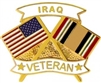 VIEW Iraq Veteran Lapel Pin