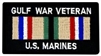 VIEW Gulf War Veteran US Marines Patch