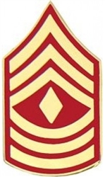 VIEW USMC E8 First Sergeant Rank Pin