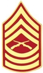 VIEW USMC E8 Master Sergeant Rank Pin