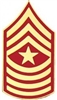 VIEW USMC E9 Sergeant Major Rank Pin