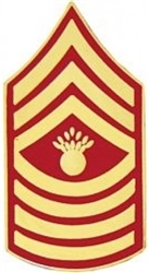 VIEW USMC E9 Master Gunnery Sergeant Rank Pin
