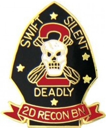 VIEW 2nd Recon, 2nd Marine Lapel Pin
