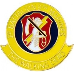 VIEW 1st Battalion, 9th Marines Lapel Pin