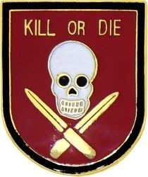 VIEW Kill Or Die Skull Lapel Pin