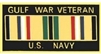 VIEW US Navy Gulf War Veteran Lapel Pin