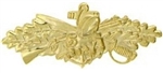 VIEW US Navy Seabees Combat Warfare Specialist Badge