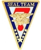 VIEW SEAL Team 7 Lapel Pin