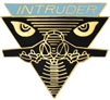 VIEW A6 Intruder Lapel Pin