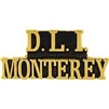 VIEW DLI Monterey Lapel Pin