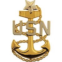 VIEW USN SCPO E-8 Rank Pin