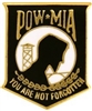 VIEW POW-MIA Lapel Pin