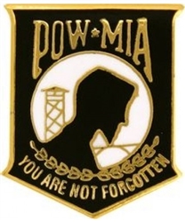 VIEW POW-MIA Lapel Pin