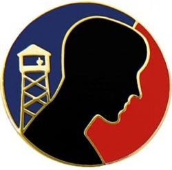 VIEW US POW Profile Red and Blue Lapel Pin