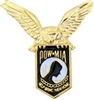 VIEW POW-MIA With Eagle Lapel Pin