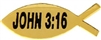 VIEW John 3:16 Lapel Pin