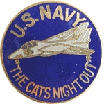 VIEW  F-14 Lapel Pin