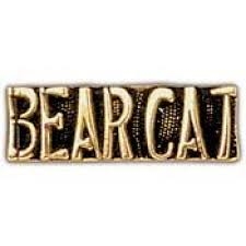 VIEW BEAR CAT Lapel Pin