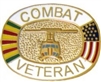 VIEW Vietnam Combat Veteran Lapel Pin