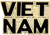 VIEW VIETNAM Script Lapel Pin