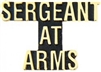 VIEW SERGEANT-AT-ARMS Script Lapel Pin