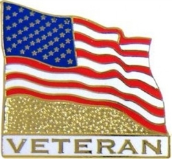 VIEW American Veteran Lapel Pin