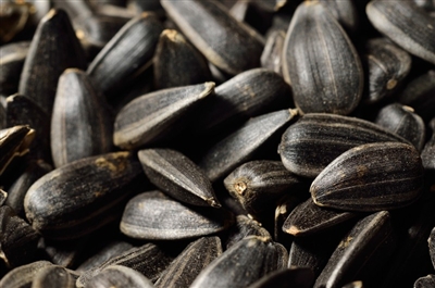 Black Oil Sunflower Seeds (organic)