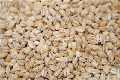 Organic Barley (sproutable)