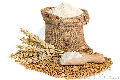 Organic Hard White Whole Grain Wheat Flour