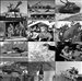 Photos of tanks & armored vehicles and their crews in action