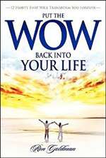 Put The Wow Back Into Your Life - Ron Goldman (Paperback)