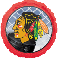 Go Blackhawks!!!