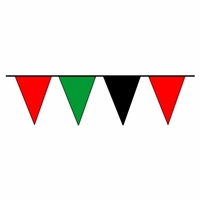 RED GREEN and BLACK Pennant Flags