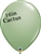 16 inch Qualatex CACTUS  Latex Balloons