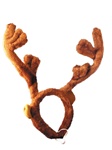 Reindeer Antlers