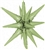 22in OLIVE GREEN Starburst - Foil Balloon - IRP - One Inflation Point, Price per EACH