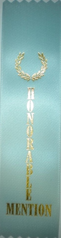 2in x 8in LIGHT BLUE HONORABLE MENTION Ribbon