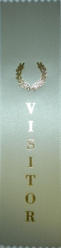 2in x 8in SILVER VISITOR Ribbon