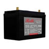 R12-110AGM, Rolls Battery