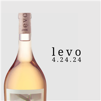 levo event live 4.24.24 at falling bright wine merchants in Irvine, CA USA