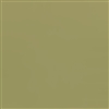 EcoStuccoÂ® AVOCADO-Natural Mineral Color Pigment