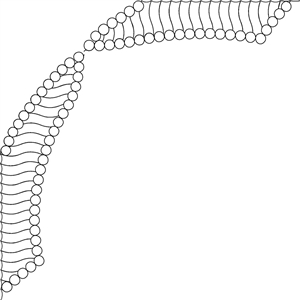 VR Bead and Line Fill A and B