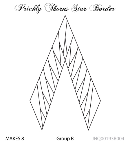 JNQ193B004 Prickly Thorns Star Border