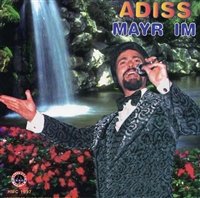 Adiss - Mayr Im